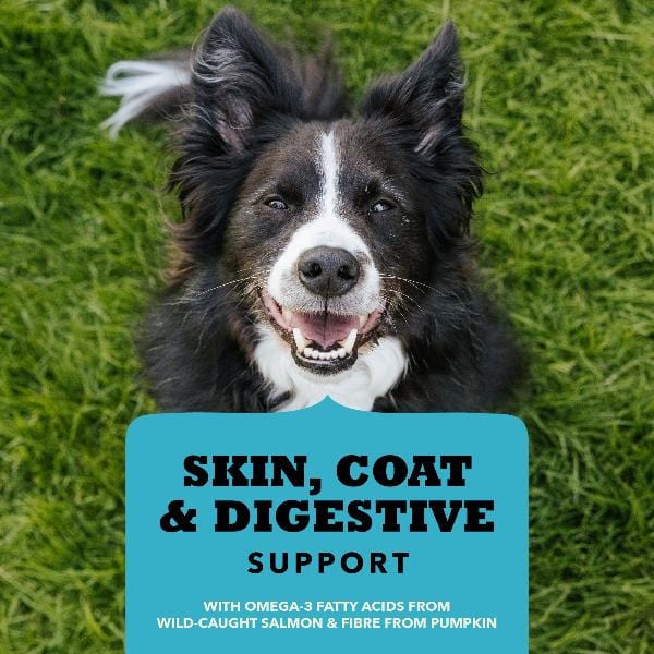 ACANA Chewy Strips Dog Treats - Skin, Coat & Digestive Support Fish Recipe - Image 2