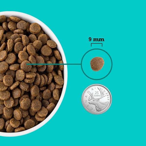 ACANA Healthy Grains Sea & Farm Puppy Recipe Dry Dog Food - Image 4