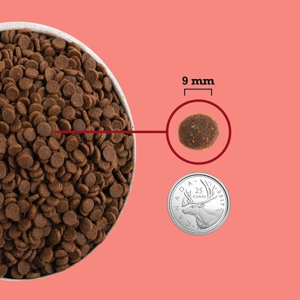 ACANA Highest Protein Indoor Dry Cat Food - Image 4