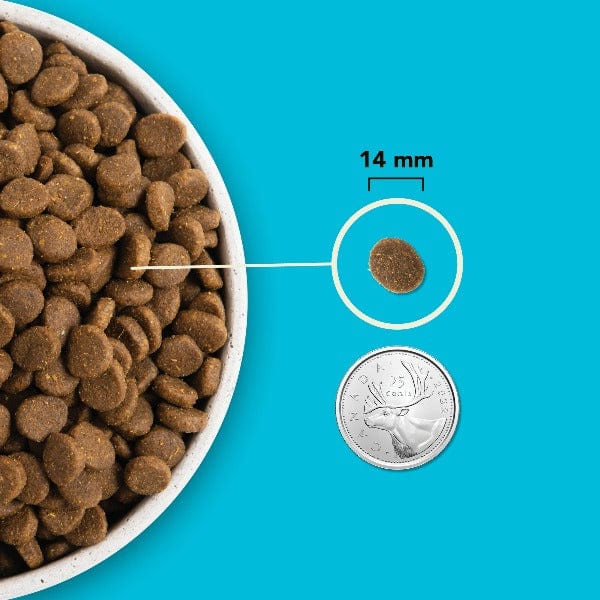 ACANA Highest Protein Pacifica Recipe Dry Dog Food - Image 4