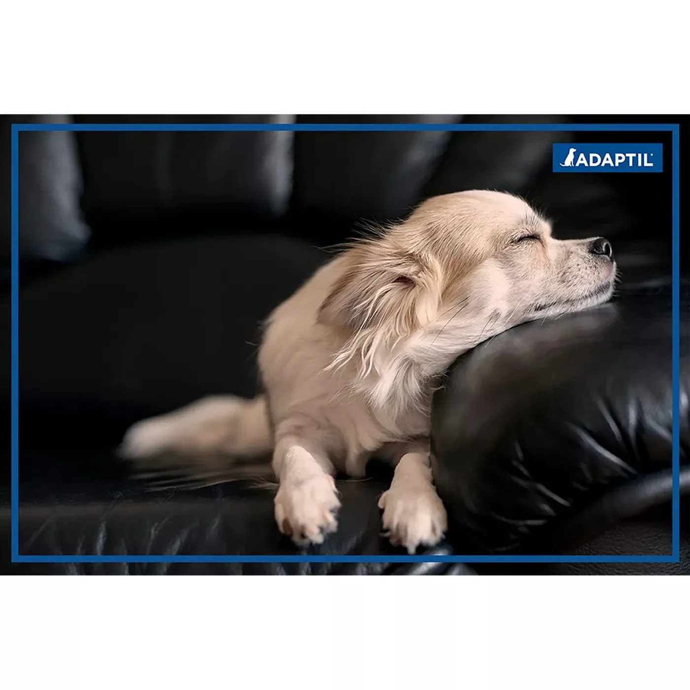 ADAPTIL Calm Home Diffuser Kit - Image 7