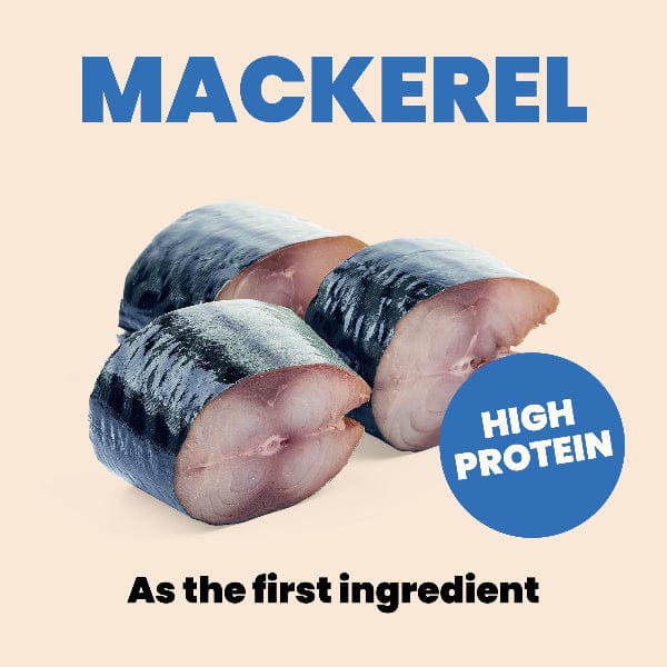 Almo Nature Complete HQS | Mackerel with Sweet Potatoes in Gravy Canned Cat Food - Image 5