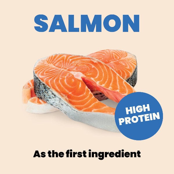 Almo Nature Complete HQS | Salmon with Apple in Gravy Canned Cat Food - Image 5