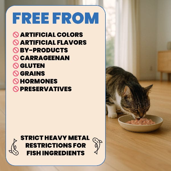 Almo Nature Complete HQS | Tuna with Mango in Gravy Canned Cat Food - Image 4