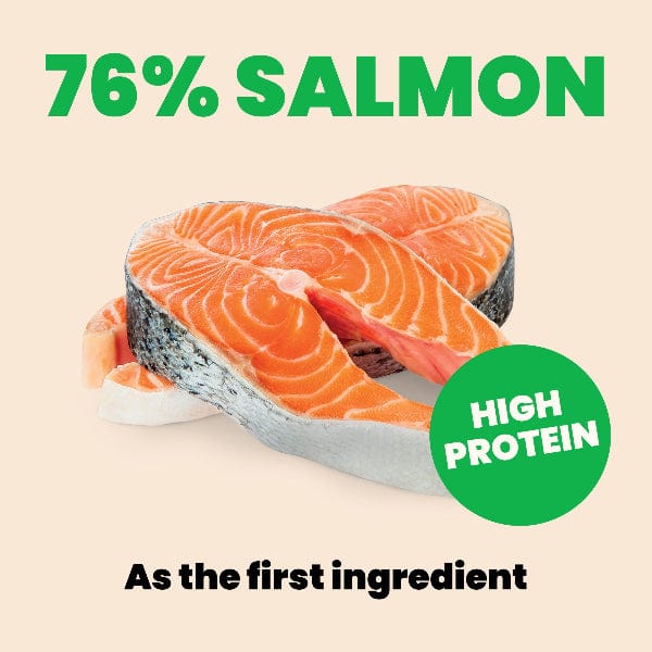 Almo Nature Natural HQS | Salmon in Broth Canned Cat Food - Image 5
