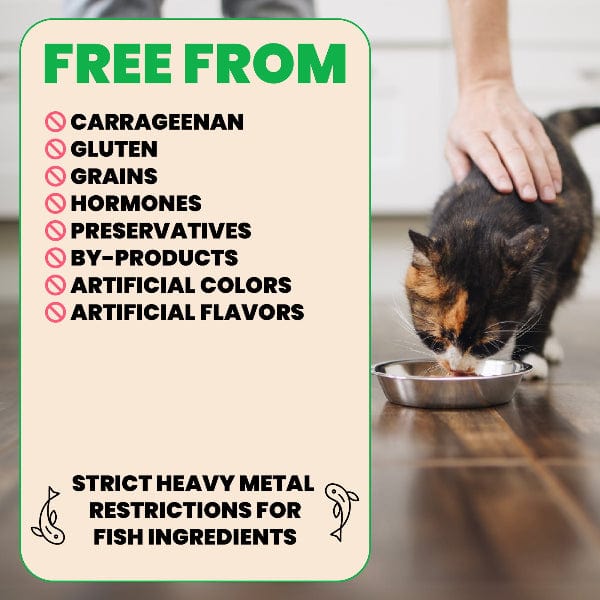 Almo Nature Natural HQS | Trout and Tuna in Broth Canned Cat Food - Image 4