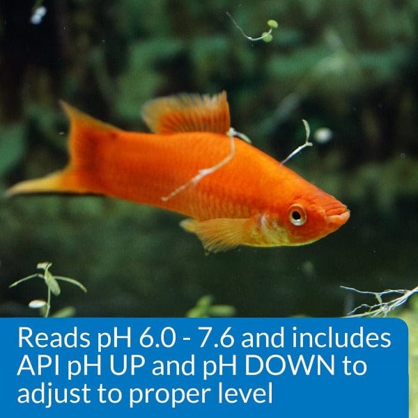 API pH Test & Adjuster Kit - Image 4