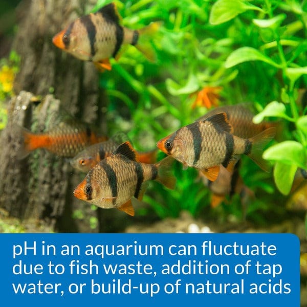API pH Test & Adjuster Kit - Image 5