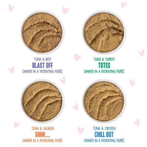 B.F.F. Play Pate Partay! 12 Pack (SPECIAL ORDER ITEM) - Image 2
