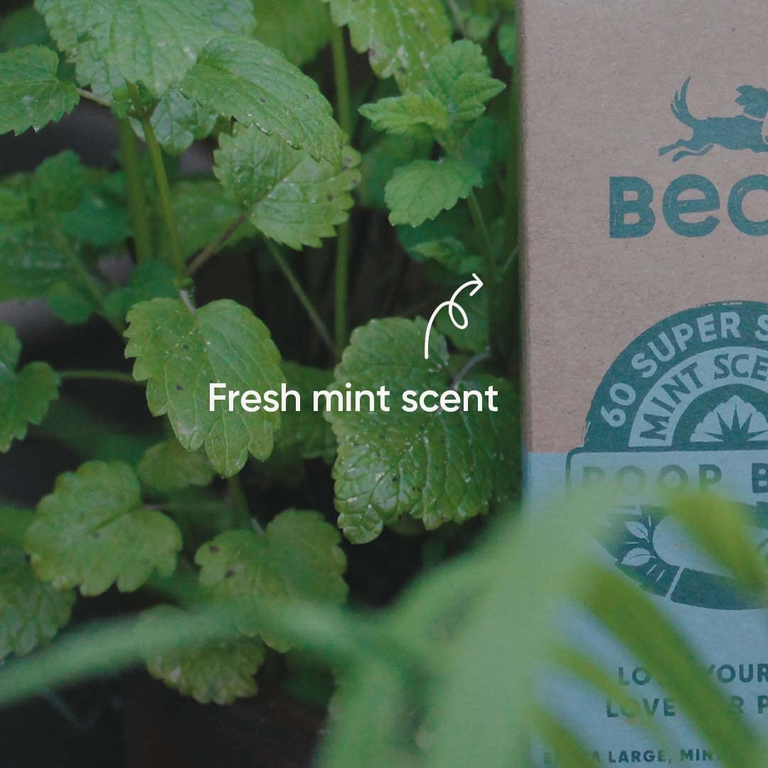 Beco Bags Degradable Poop Bags; Mint Scented or Unscented - Image 8