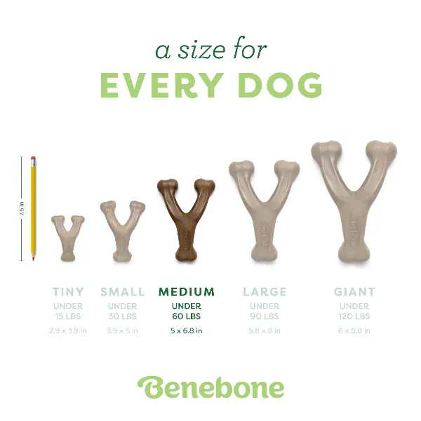 Benebone Bacon Wishbone Dog Chew Toy - Image 6