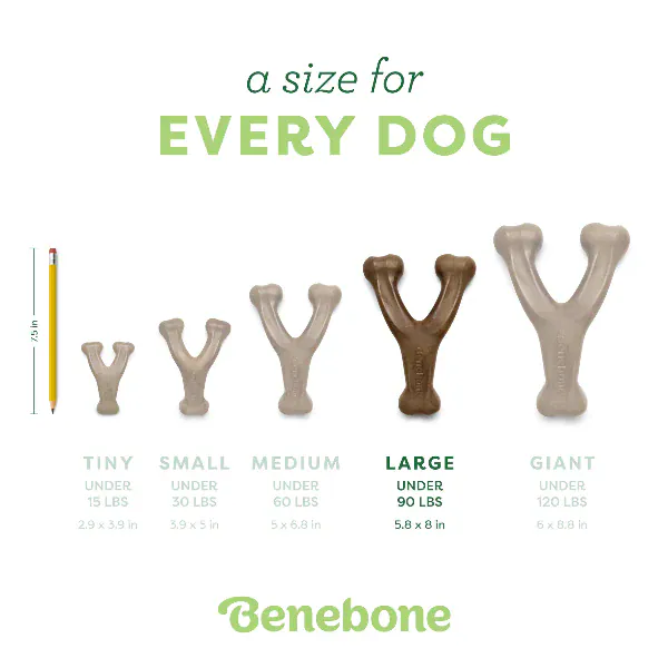 Benebone Bacon Wishbone Dog Chew Toy - Image 7
