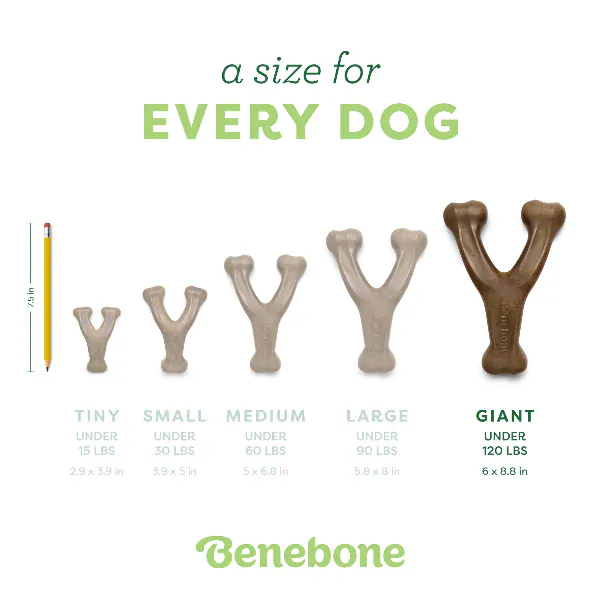 Benebone Bacon Wishbone Dog Chew Toy - Image 8