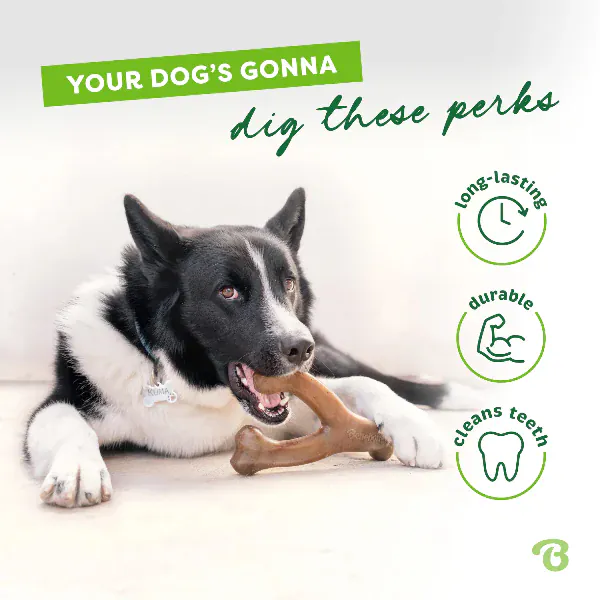 Benebone Chicken Wishbone Dog Chew Toy - Image 3