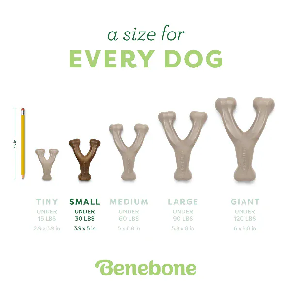 Benebone Chicken Wishbone Dog Chew Toy - Image 5