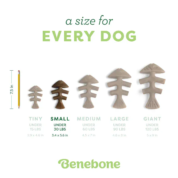 Benebone Jack Salmon Fishbone Dog Chew Toy - Image 5