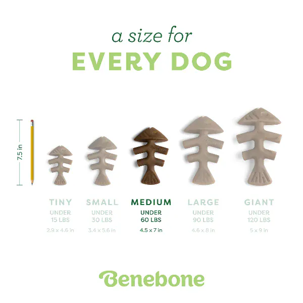 Benebone Jack Salmon Fishbone Dog Chew Toy - Image 6