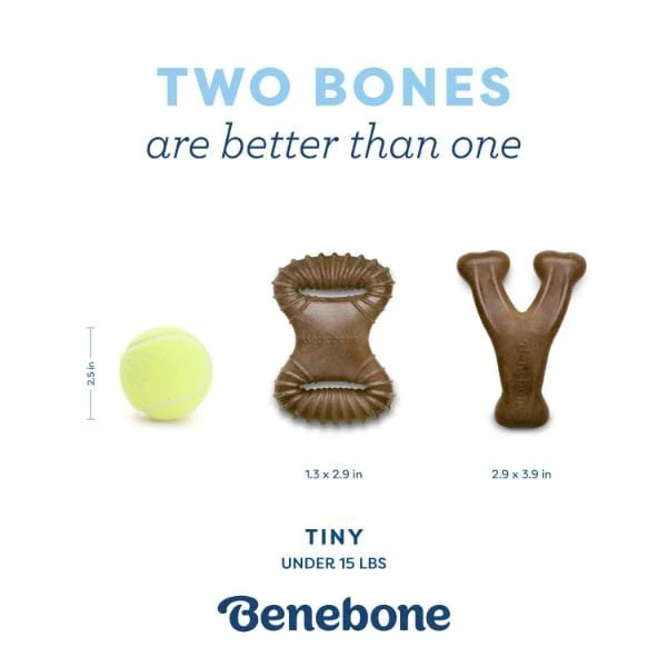 Benebone Puppy 2-Pack Chew Toy - Image 4