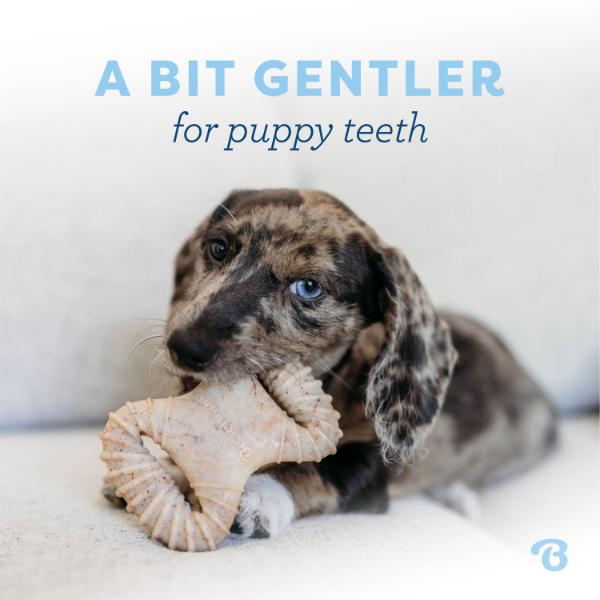 Benebone Puppy 2-Pack Chew Toy - Image 5