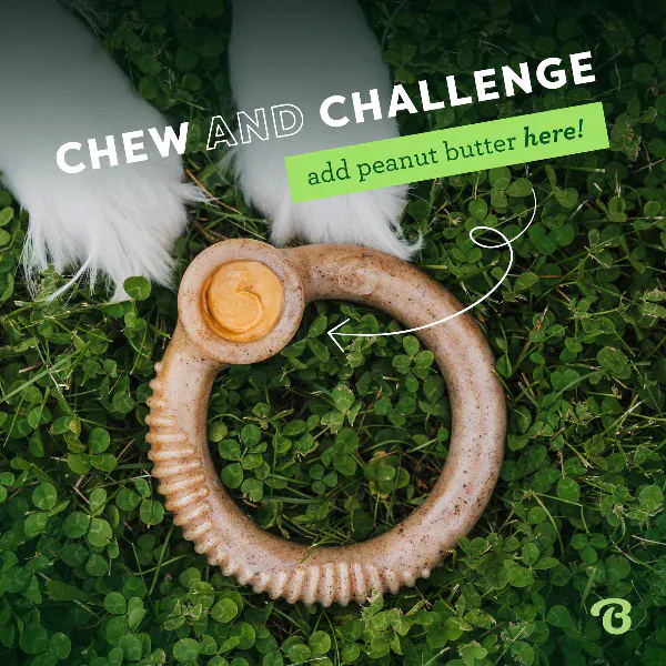 Benebone Ring Dog Chew Toy - Image 4