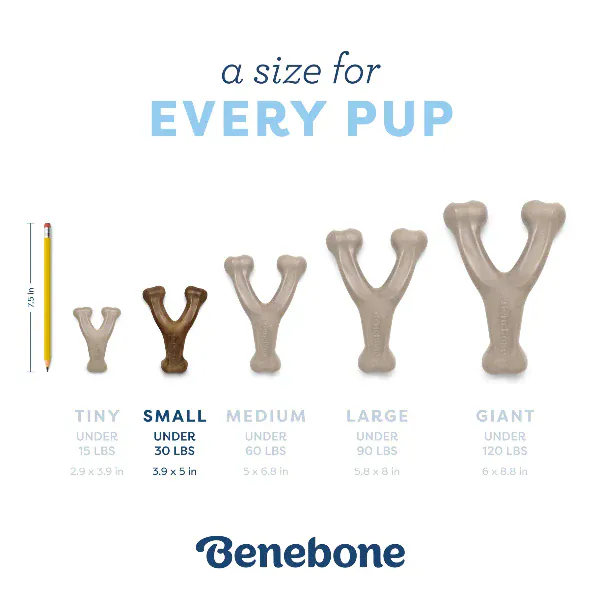 Benebone Wishbone Puppy Chew Toy - Image 4