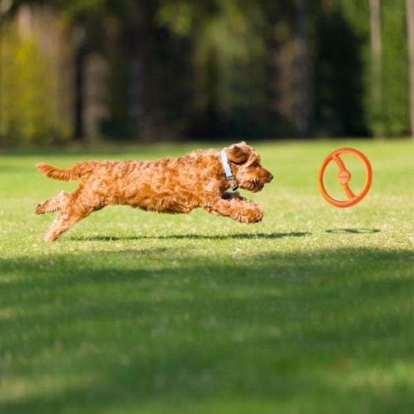BIONIC Toss-N-Tug - Image 5