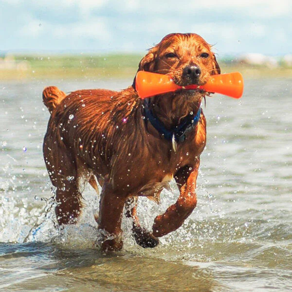BIONIC Urban Stick Dog Toy - Image 7