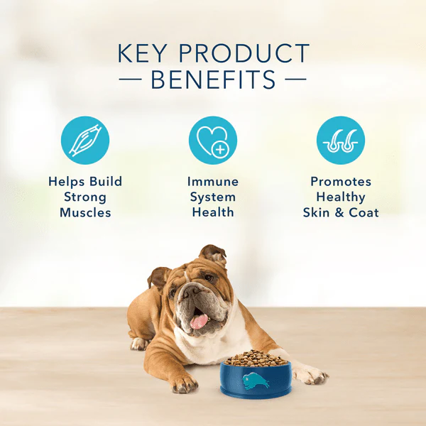 BLUE Basics Skin & Stomach Care Grain-Free Turkey & Potato Recipe Dry Dog Food (SPECIAL ORDER ITEM) - Image 5