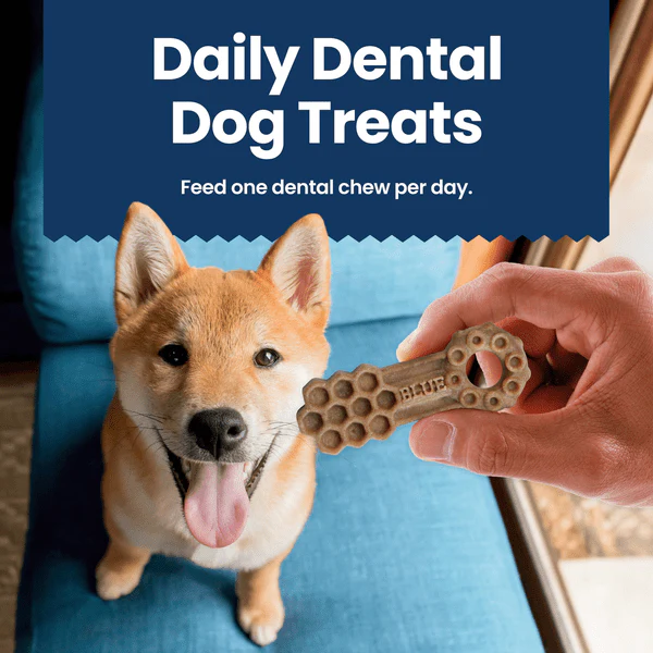 BLUE Dental Chews - Image 5