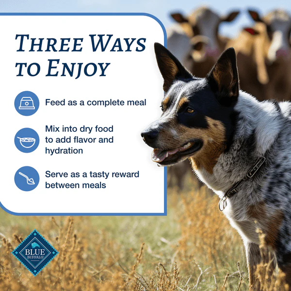 BLUE Family Favorite Recipes Sunday Chicken Dinner Canned Dog Food - Image 6