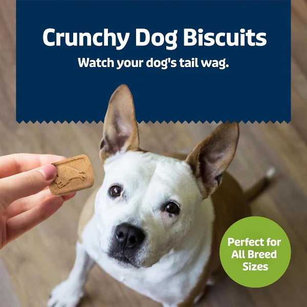 BLUE Health Bars Natural Crunchy Dog Treats Biscuits; Apple & Yogurt - Image 4