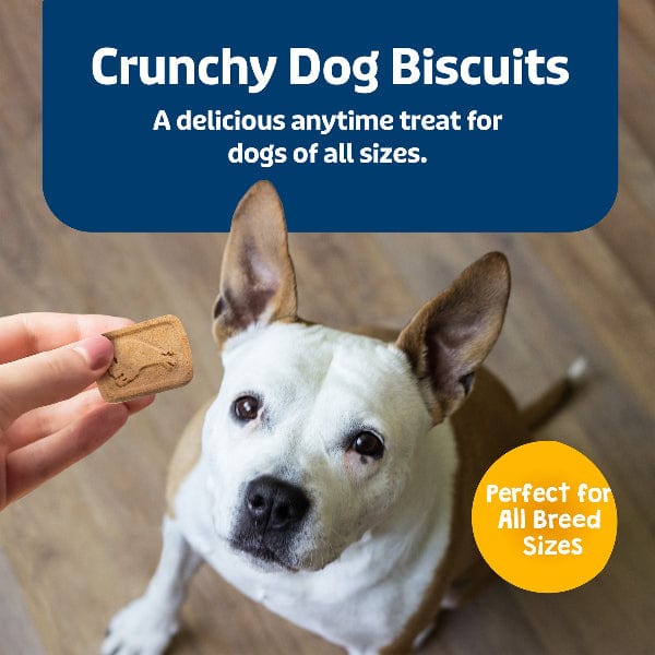 BLUE Health Bars Natural Crunchy Dog Treats Biscuits; Banana & Yogurt, 16oz - Image 4