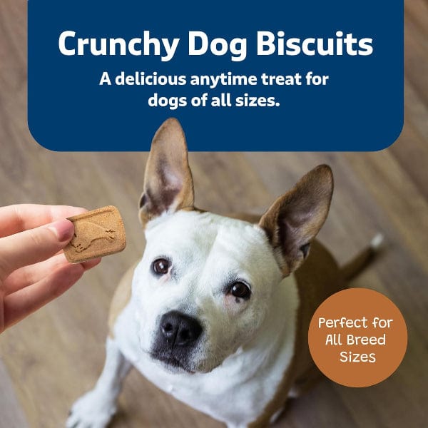 BLUE Health Bars Natural Crunchy Dog Treats Biscuits; Pumpkin & Cinnamon, 16oz - Image 4