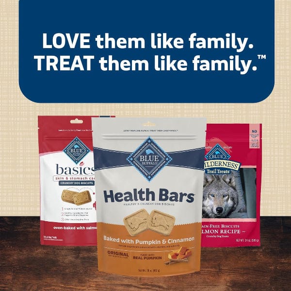 BLUE Health Bars Natural Crunchy Dog Treats Biscuits; Pumpkin & Cinnamon, 16oz - Image 9