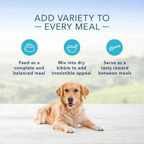 BLUE Homestyle Recipe Turkey Meatloaf Dinner Canned Dog Food - Image 3