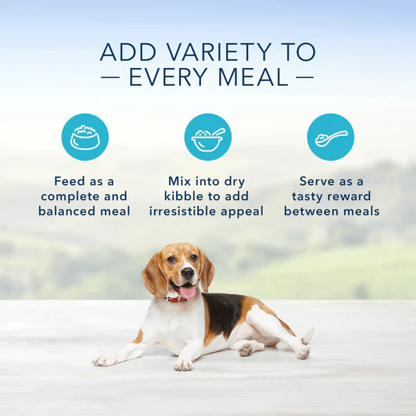 BLUE Homestyle Recipe Fish & Sweet Potato Dinner Canned Dog Food - Image 3