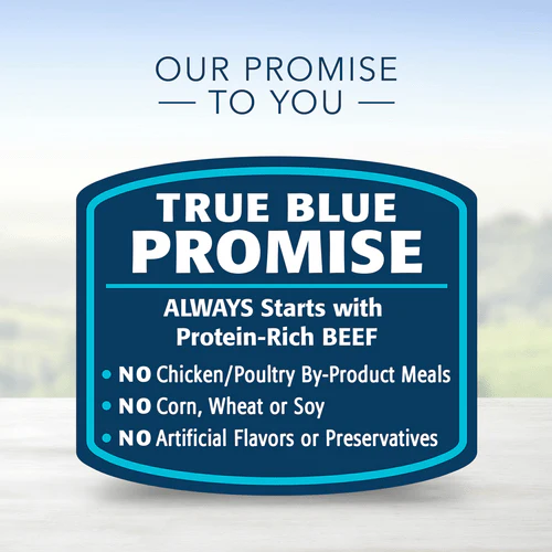 BLUE Homestyle Recipe Beef Dinner Canned Dog Food - Image 4