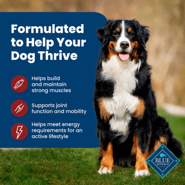 BLUE Life Protection Formula Beef & Brown Rice Recipe Dry Dog Food, 26lb - Image 2