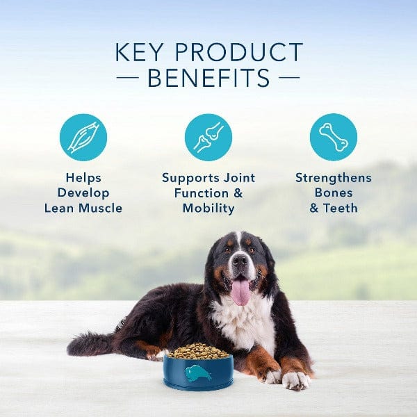 BLUE Life Protection Formula Large Breed Beef & Brown Rice Recipe Dry Dog Food, 26lb - Image 4