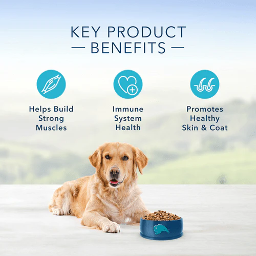 BLUE Life Protection Formula Lamb & Brown Rice Recipe Dry Dog Food - Image 4