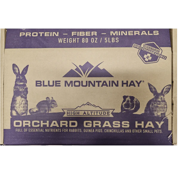 Blue Mountain Hay High-Altitude Orchard Grass Hay - Image 5