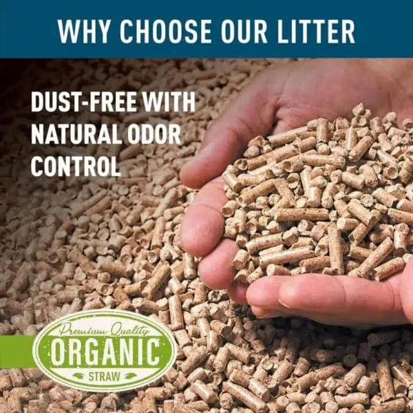 Blue Mountain Hay Organic Wheat Straw Litter - Image 3