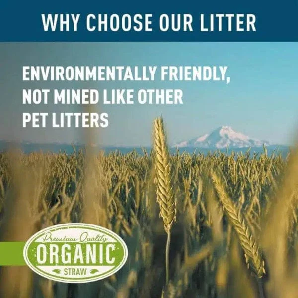 Blue Mountain Hay Organic Wheat Straw Litter - Image 8