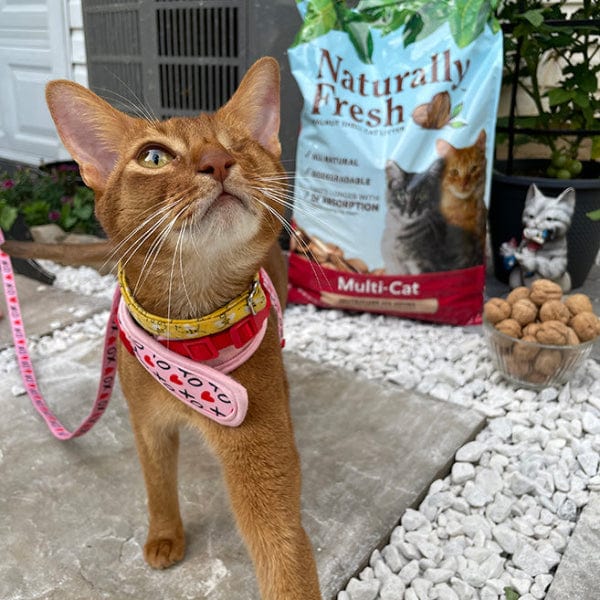 Naturally Fresh Multi-Cat Natural Cat Litter - Image 8