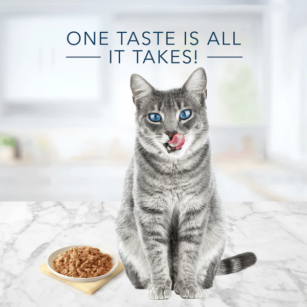 BLUE Tastefuls Flaked Fish and Shrimp Entree Canned Cat Food, 5.5oz - Image 5