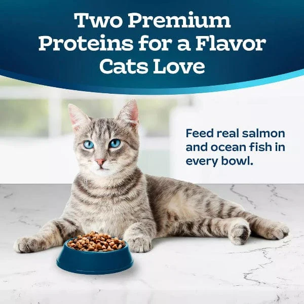 BLUE Tastefuls Multi-Protein Salmon & Ocean Fish Cat Food Recipe Dry Cat Food, 7lb - Image 3