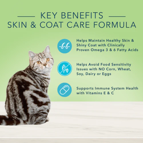 BLUE True Solutions Skin & Coat Care Adult Canned Cat Food - Image 3