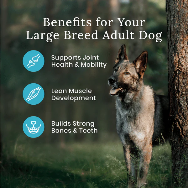 BLUE Wilderness Large Breed Beef Recipe with Grains Dry Dog Food, 24lb - Image 2