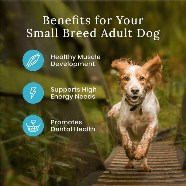 BLUE Wilderness Small Breed Chicken Recipe with Grains Dry Dog Food - Image 2