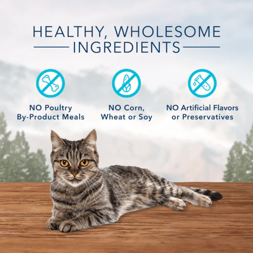 BLUE Wilderness Soft-Moist Cat Treats; Chicken & Salmon - Image 3